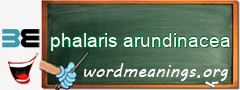 WordMeaning blackboard for phalaris arundinacea